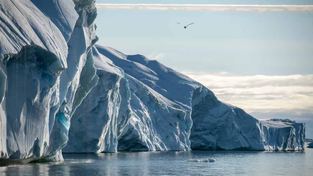 Arctic